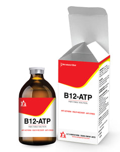 B12-ATP