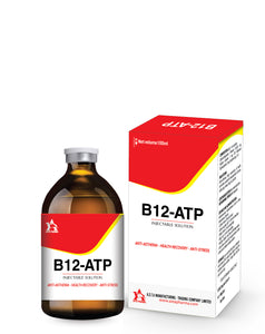 B12-ATP