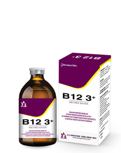 B12 3+