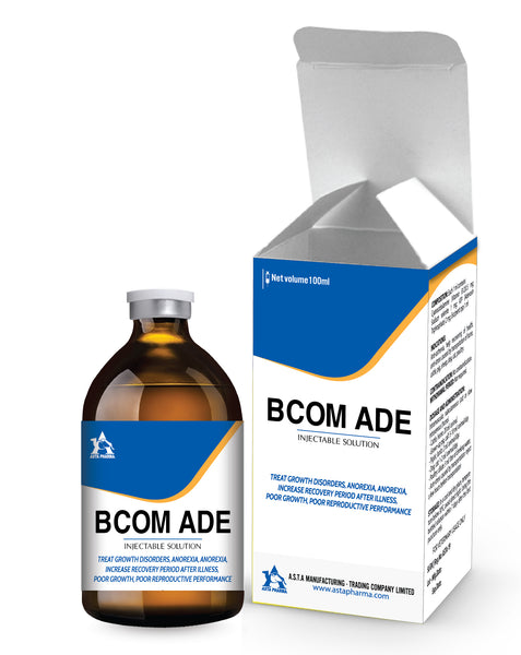 Bcom ADE