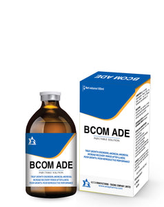 Bcom ADE