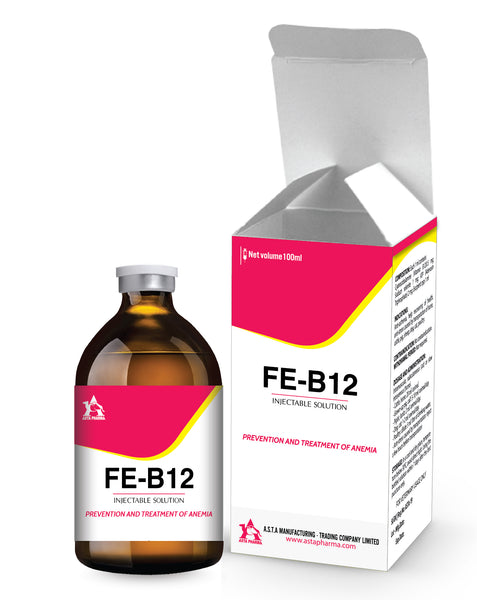 Fe-B12