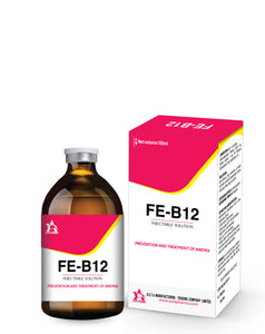 Fe-B12